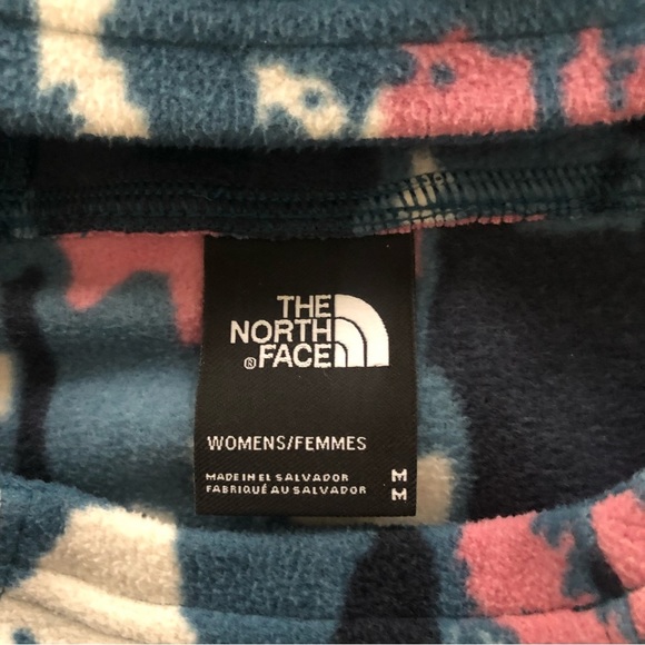 the North Face TKA Glacier Pullover Hoodie in Mallard Blue Abstract Ikat Print M - Picture 4 of 11